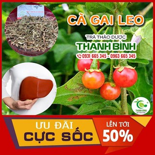 Cà Gai Leo 100g - Loại Khô - Hàng Công Ty Chất Lượng