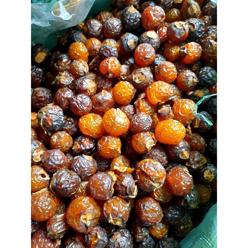 BỒ HÒN TÂY NGUYÊN TÁCH HẠT. 1 KG. LOẠI 1 | BigBuy360 - bigbuy360.vn