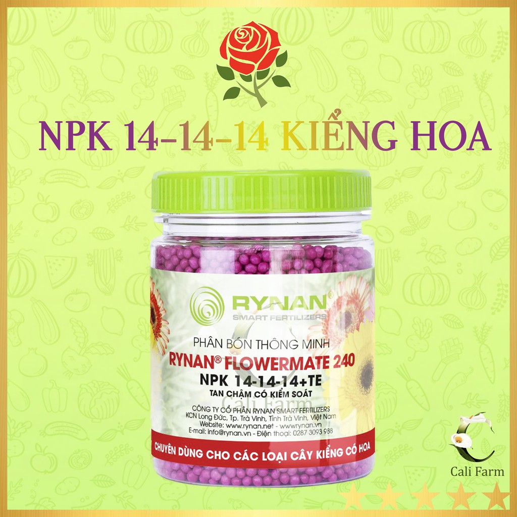 Phân tan chậm RYNAN 240 chuyên dùng cho cây kiểng 150g