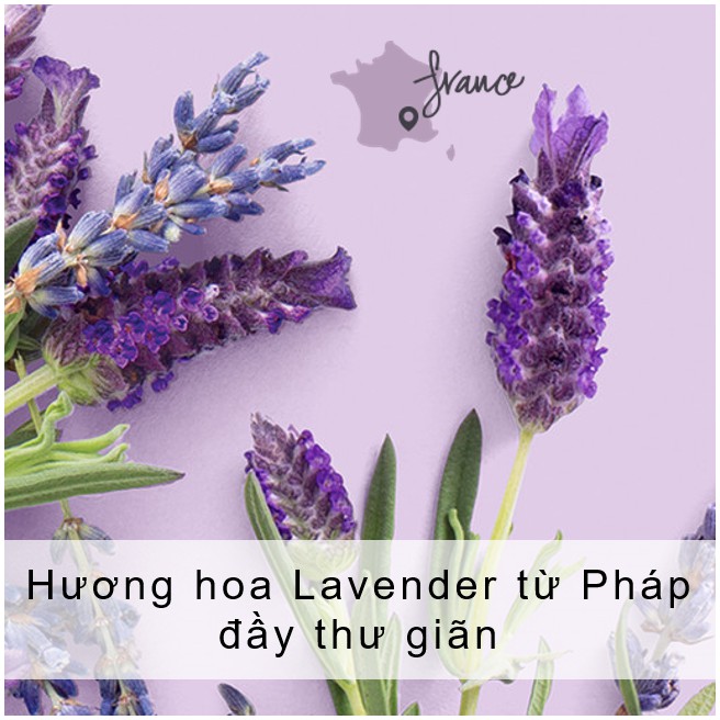 Sữa dưỡng thể LOVE BEAUTY & PLANET dưỡng ẩm dịu nhẹ Soothe & Serene với 100% tinh dầu Argan Morocco 400ml | BigBuy360 - bigbuy360.vn