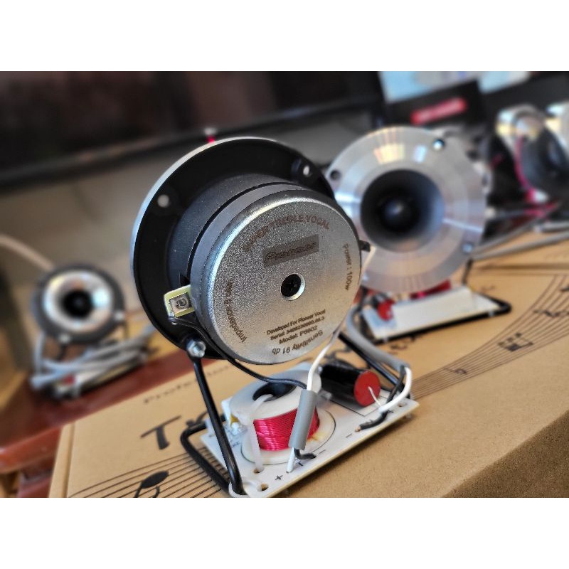 Loa siêu Treble Pioneer P8802 lắp mạch phân tần T3, giá 1 cặp