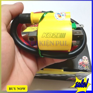Mobin sườn kozi cho xe Winner