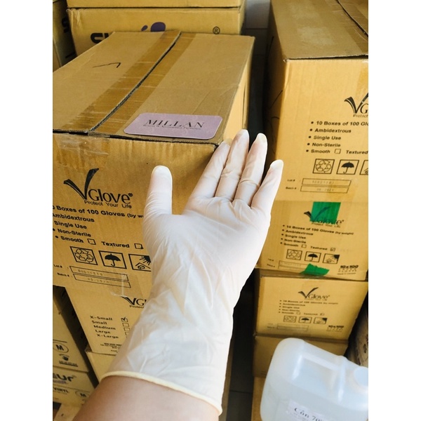 Găng y tế KHÔNG BỘT latex Vglove (50pcs)