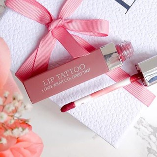 Son Dior Tattoo 491 Natural Rosewood Màu Đỏ Đất