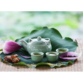 Hạt giống hoa sen ta