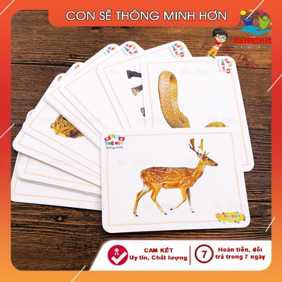 [Bb126] Thẻ glenn doman💚FREESHIP💚Thẻ học thông minh song ngữ Anh Việt chủ đề màu sắc và hình khối