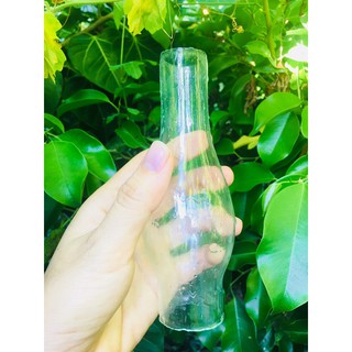 Bóng Đèn Dầu Thủy Tinh Lớn Cao 14cm