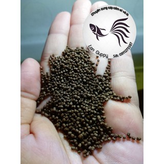 Cám cá kiểng - Thức ăn phù hợp cho cá guppy