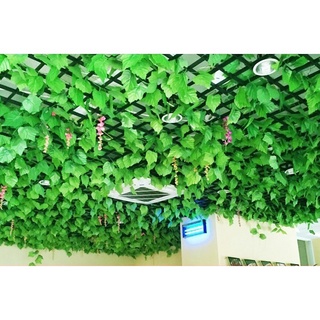 Dây lá nho giả lá xanh dài 2m trang trí nhà cửa, quán cafe | hà hoa flower