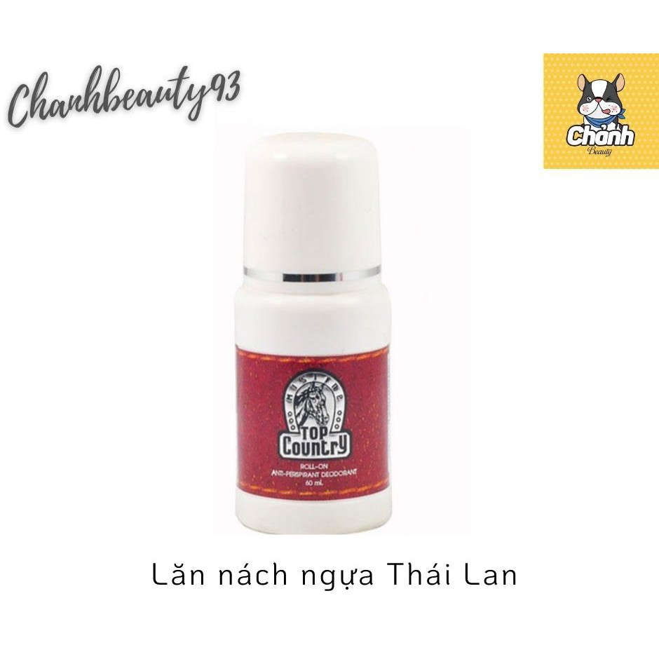 Lăn Nách Ngựa Top