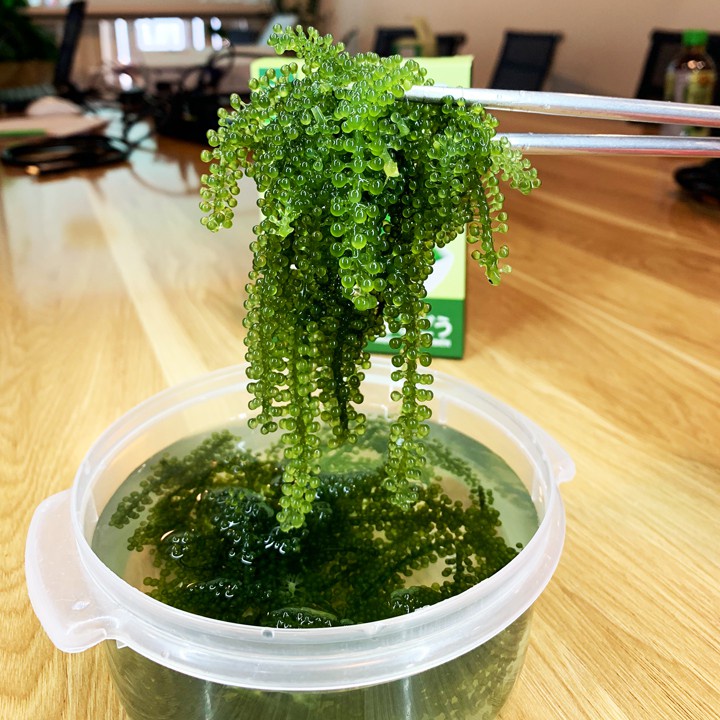 Hộp 5 Gói Rong Nho Tách Nước Tasami Công Nghệ Tách Nước Tiêu Chuẩn Nhật Bản