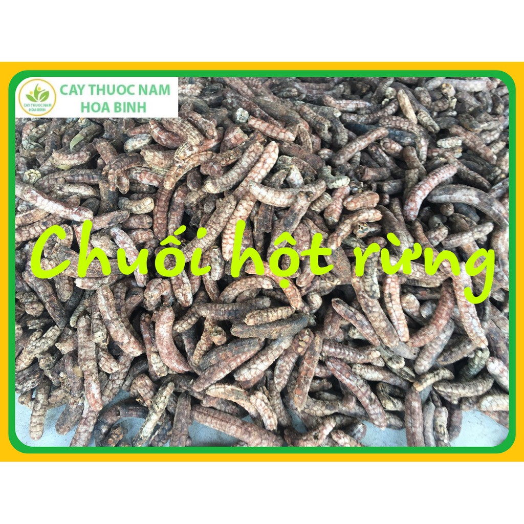 1kg chuối hột rừng nguyên quả to phơi khô tự nhiên (sạch, thơm, mới)