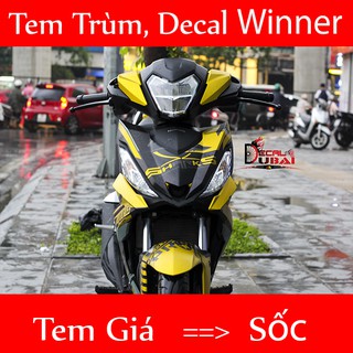 Tem trùm winer vàng đen motocross