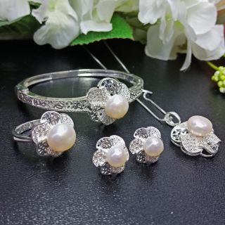 Combo 10 bộ trang sức bạc đính ngọc.
