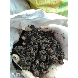 phân trùn quế nguyên chất không pha tạp ( bịch 1kg)