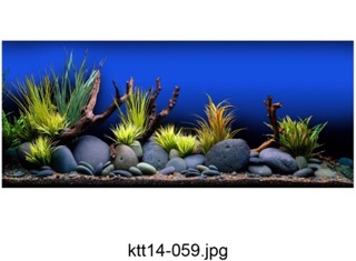 TRANH 3D CHO BỂ CÁ CẢNH KT 120x50
