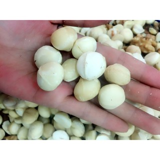 500g Nhân macca Úc giòn ngon (nhân nguyên)