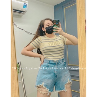 Áo len sọc xám