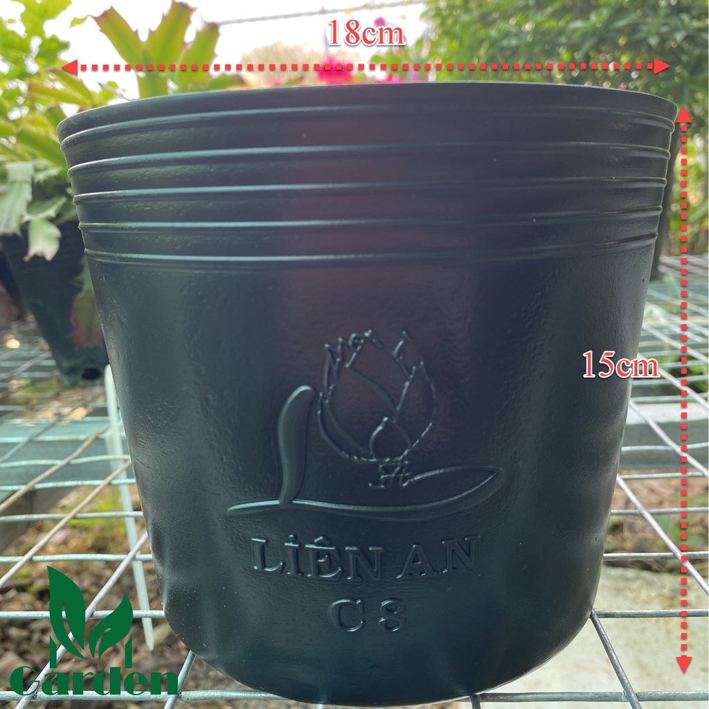 Chậu nhựa đen, đỏ dẻo trồng và ươm cây C8  - Liên An