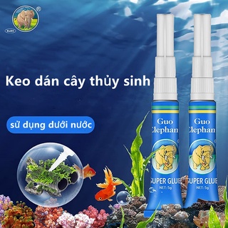 AQUARZOO 5g Instant Aquarium Moss Glue Fish Tank Landscape Safe & Super Glue Adhesive For Moss Aquascape,Coral,Rock,Wood,Water Plants Grass Instant Guo Elephant Glue
