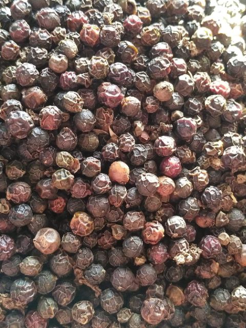 Hạt tiêu khô vụ mới 2022 - tiêu chắc, đẹp, không hạt lép | Bột Natural