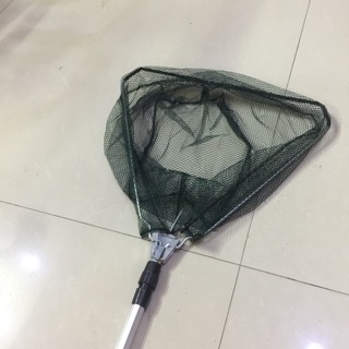 Vợt vớt cá