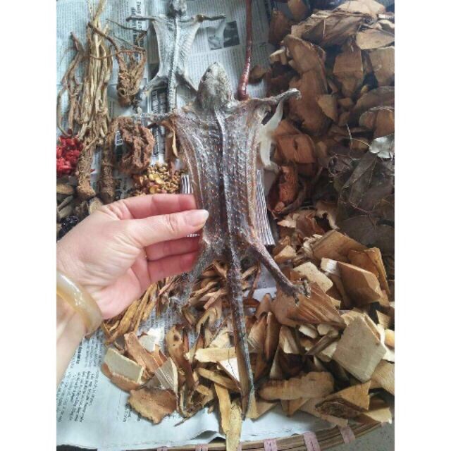 Minh Mạng Thang (33 vị, 1 tắc kè) bổ thận tráng dương