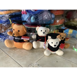 Gấu cử nhân Gấu tốt nghiệp