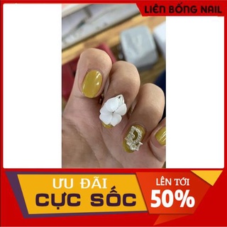 Hoa ly đá - Hoa bột nail mẫu mới