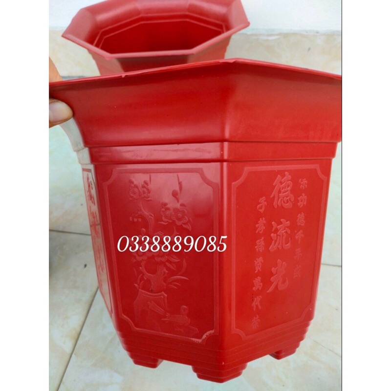 Chậu nhựa bát giác(220-310) trồng cây, hàng dày, đẹp, đủ màu, đủ size, hàng sẵn kho