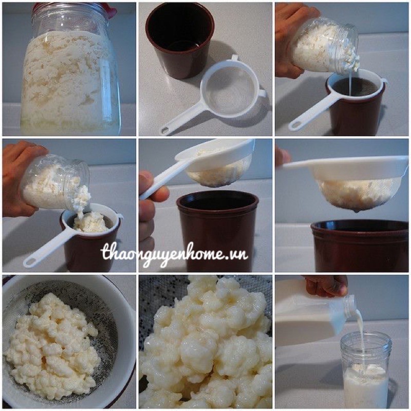 Rây lọc nấm Kefir, lọc trà, lọc cháo, rau củ