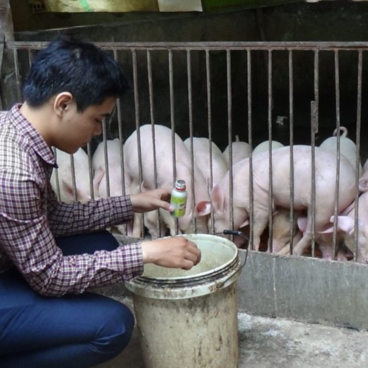 Chế phẩm sinh học VƯỜN SINH THÁI cho Chăn nuôi Gia súc, Gia cầm