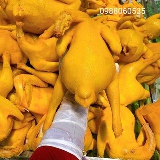 GÀ Ủ MUỐI HOA TIÊU