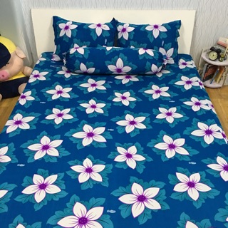 Drap thun Hàn Quốc