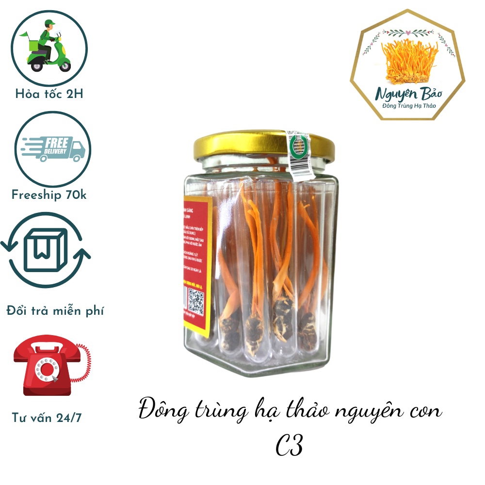 Đông Trùng Nguyên Con C3 Sấy Thăng Hoa - 10 con