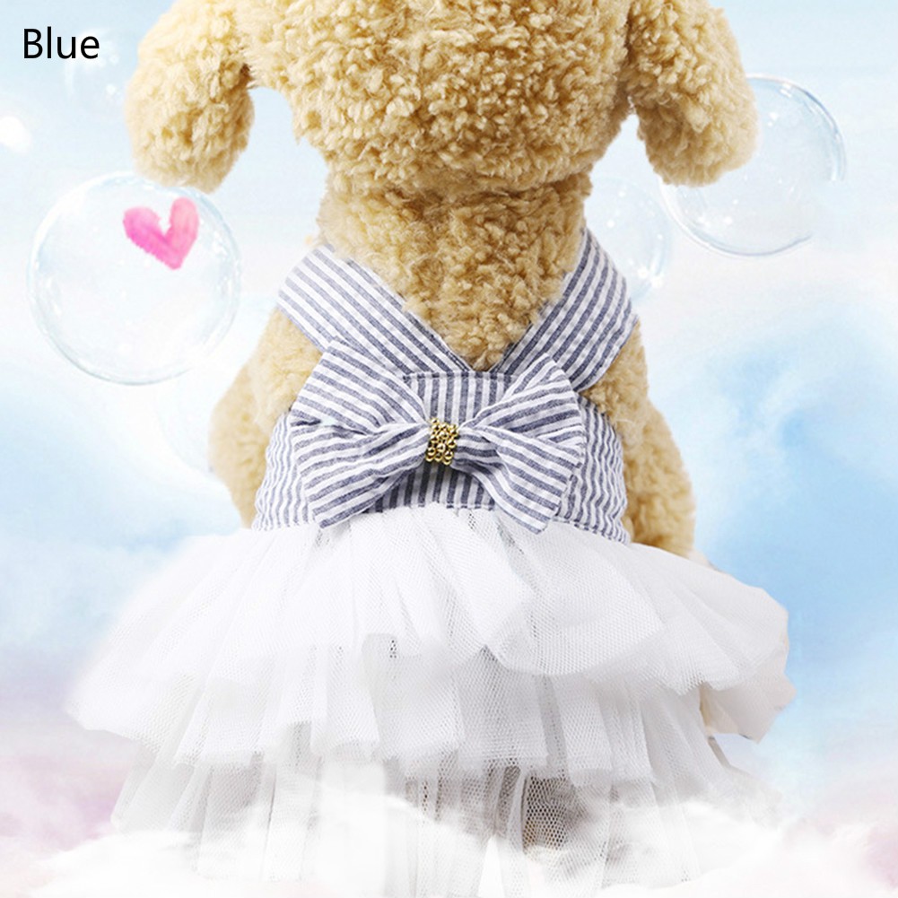 Đầm dây dễ thương cho thú cưng