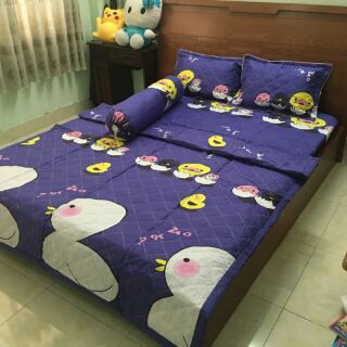 Bộ gra mền gối cotton poly cao cấp