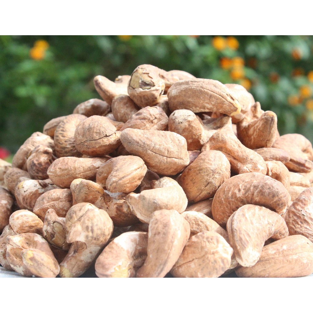 HẠT ĐIỀU RANG MUỐI VỎ LỤA ĐẠT TIÊU CHUẨN XUẤT KHẨU 500g - THỊNH TÍN ĐẠT - Loại 1