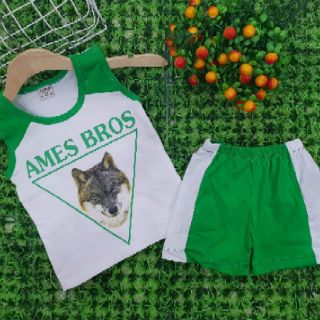 Combo 6 bộ bé trai, gái
