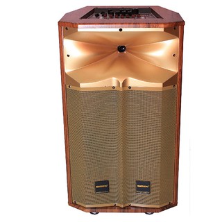 [Mã ELHACE giảm 4% đơn 300K] Loa kéo Temeisheng QX-1218