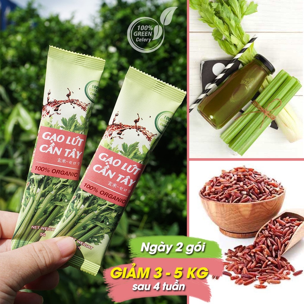 Bột Gạo Lứt Cần Tây Green Celery Hộp 70g ( 14 gói * 5g ) - Giảm cân, giữ dáng, làm sáng da, tăng cường nội tiết tố