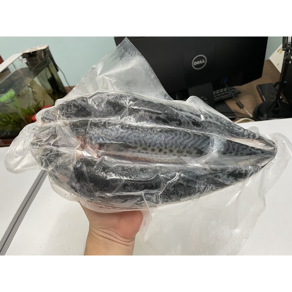 1kg - Cá Nục Bông Nhật Bản (Còn gọi là Cá Saba Nhật, Cá Thu Nhật Bản)