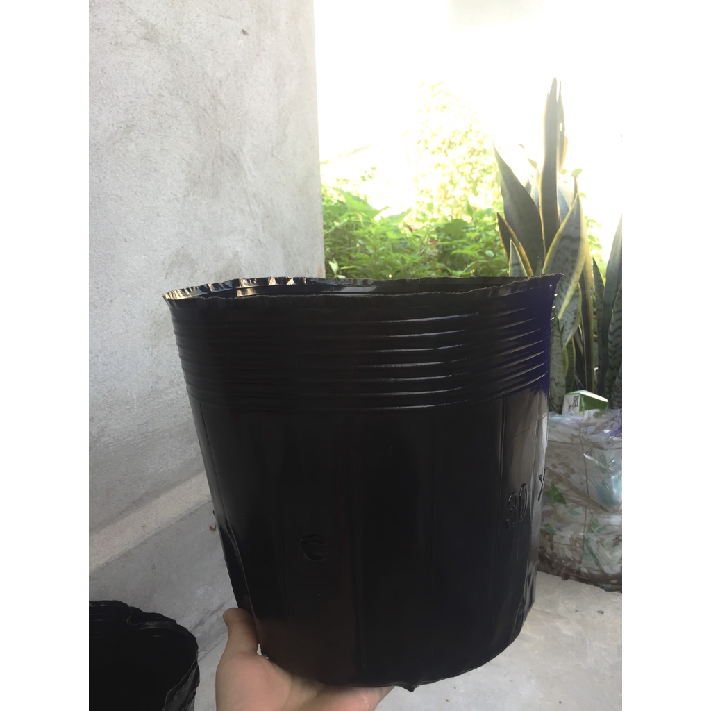 1kg(29-30 cái) bầu ươm cây màu đen giá chỉ 56k