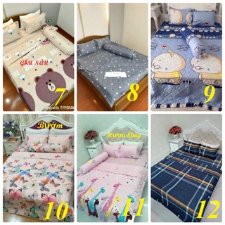Bộ ga gối cotton poly