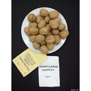 1Kg óc chó Hartley chuẩn Mỹ