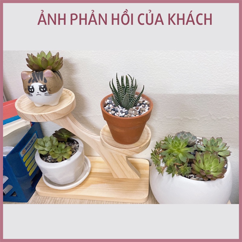 Kệ Gỗ Trang Trí Decor Xinh, Kệ Để Bàn Đặt Chậu Sứ MINI Xương Rồng, Sen Đá, Để Chai Lọ