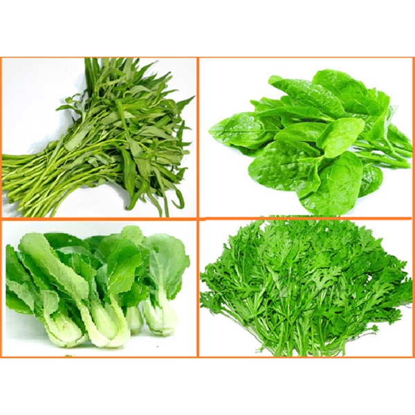 Phân Bón Chuyên Rau Màu Nhập Khẩu Poland , Siêu magie giúp cây mập thân, xanh mướt, lá to