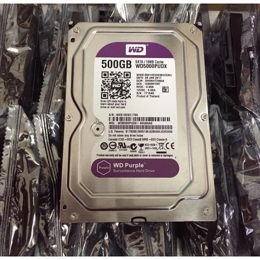 Ổ cứng 500GB HDD Western Purple (Tím)