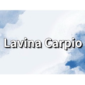 Lavina Carpio, Cửa hàng trực tuyến | BigBuy360 - bigbuy360.vn