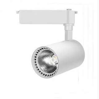 Đèn LED Rọi Ray (RT-04/RĐ-04) Asia Lighting